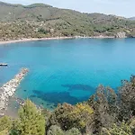 Capo Di Stella Каполивери